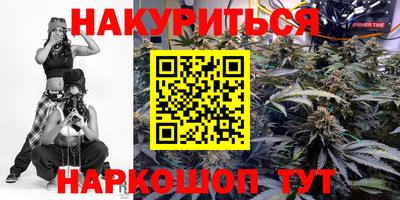 молекула духа Новозыбков