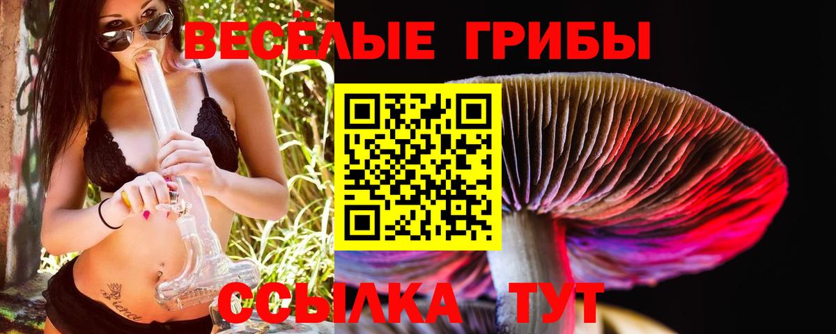 Галлюциногенные грибы ЛСД Среднеуральск